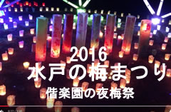 2016~(y)